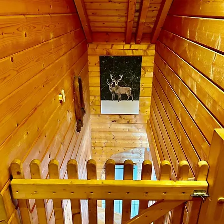 Le Roncing Chalet Gerardmer