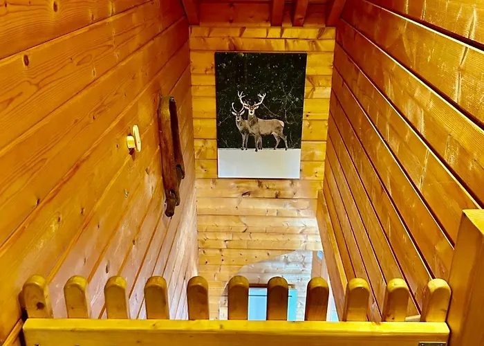 Le Roncing Horská chata Gérardmer