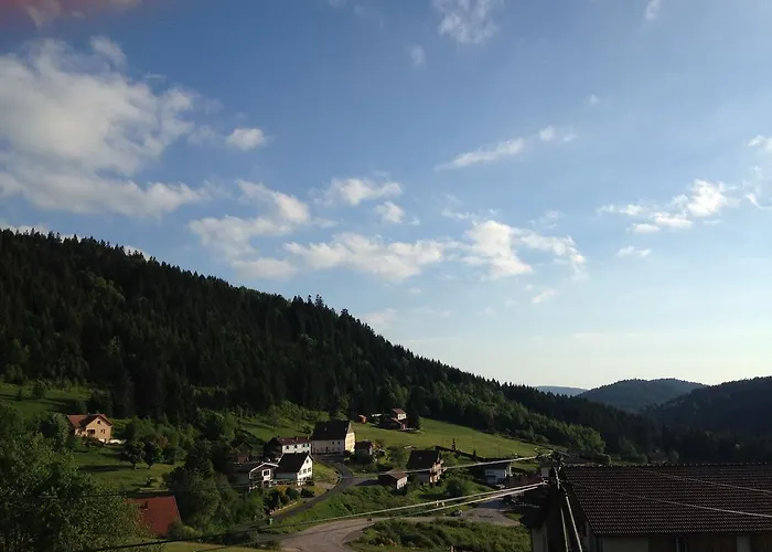 Le Roncing Horská chata